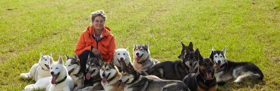 Willkommen im Haus der Hunde in der Eifel Haus der Hunde