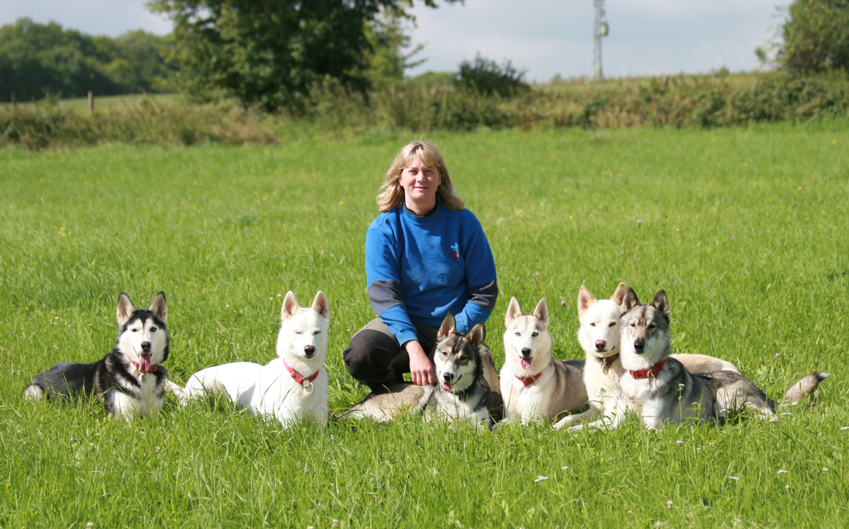 Gabi Lames Haus der Hunde · Hundepension, Hundefrisör