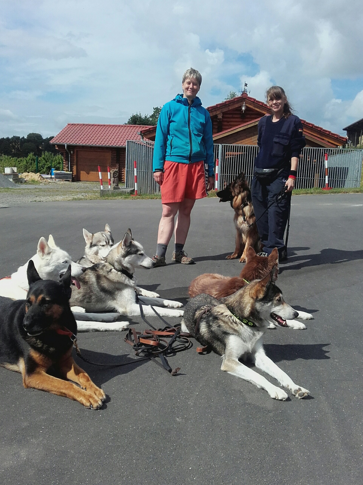 Kundenmeinungen Haus der Hunde · Hundepension